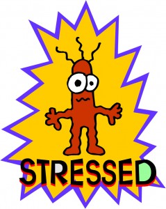 Stressed out, burnout, Ken Okel, Florida Keynote speaker, reduce stress at work, annoying coworkers, low pay,