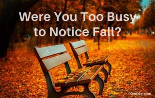 Time To Be More Productive, notice fall leave, Ken Okel professiona speaker in Miami Orlando